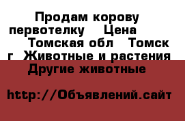 Продам корову (первотелку) › Цена ­ 45 000 - Томская обл., Томск г. Животные и растения » Другие животные   
